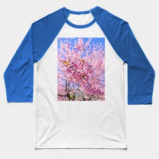 Beautiful pink flowers Baseball T-Shirt